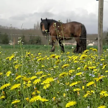Chez Nanie Bed & Breakfast Mane (Alpes-de-Haute-Provence)